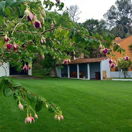 Villa In Sintra - Casa Da Penha Ferrim Экстерьер фото