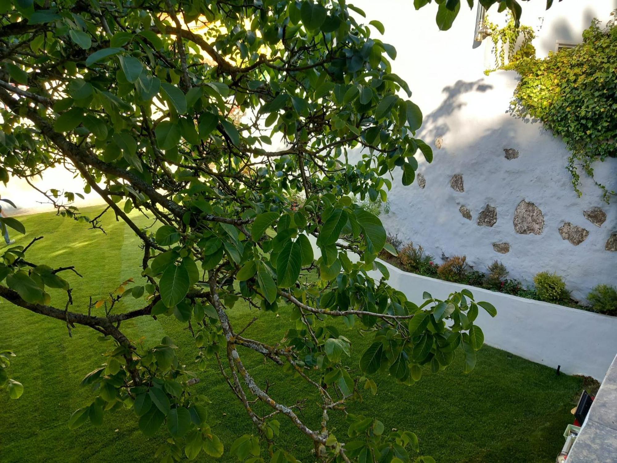 Villa In Sintra - Casa Da Penha Ferrim Экстерьер фото
