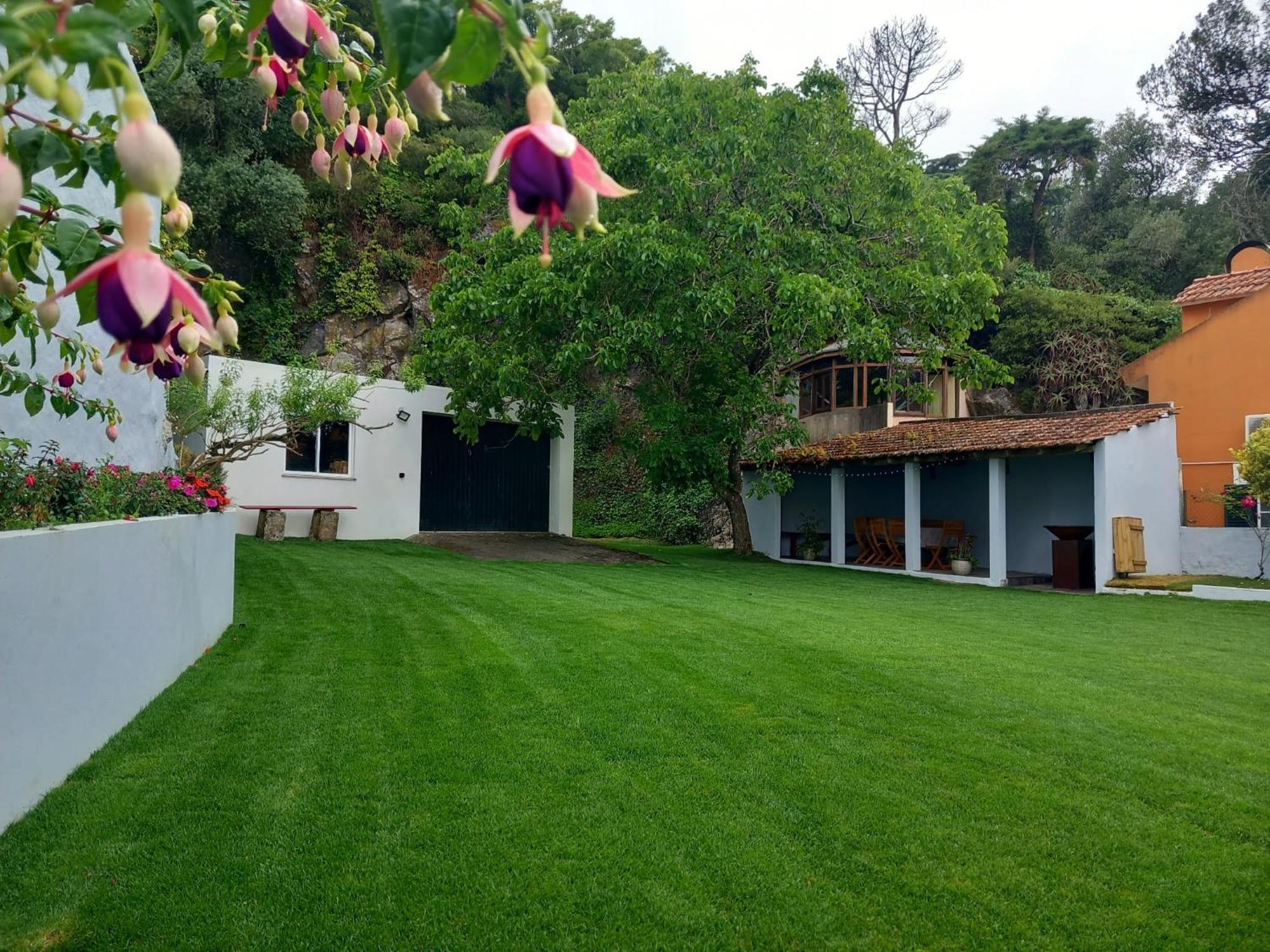 Villa In Sintra - Casa Da Penha Ferrim Экстерьер фото